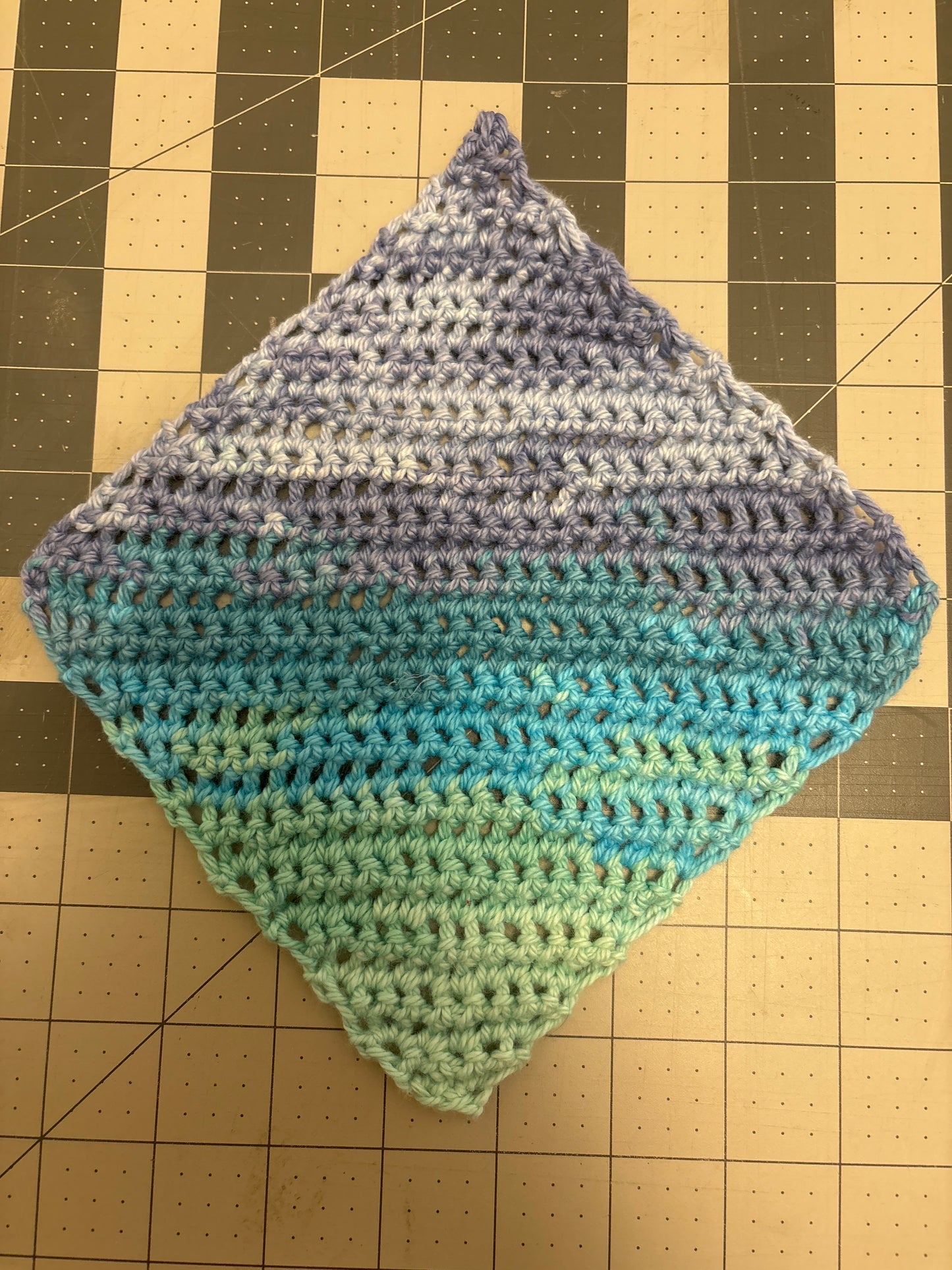 Set of 5 seas dishcloths